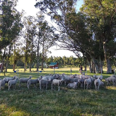 Centro Los Alamos مالدونادو المظهر الخارجي الصورة