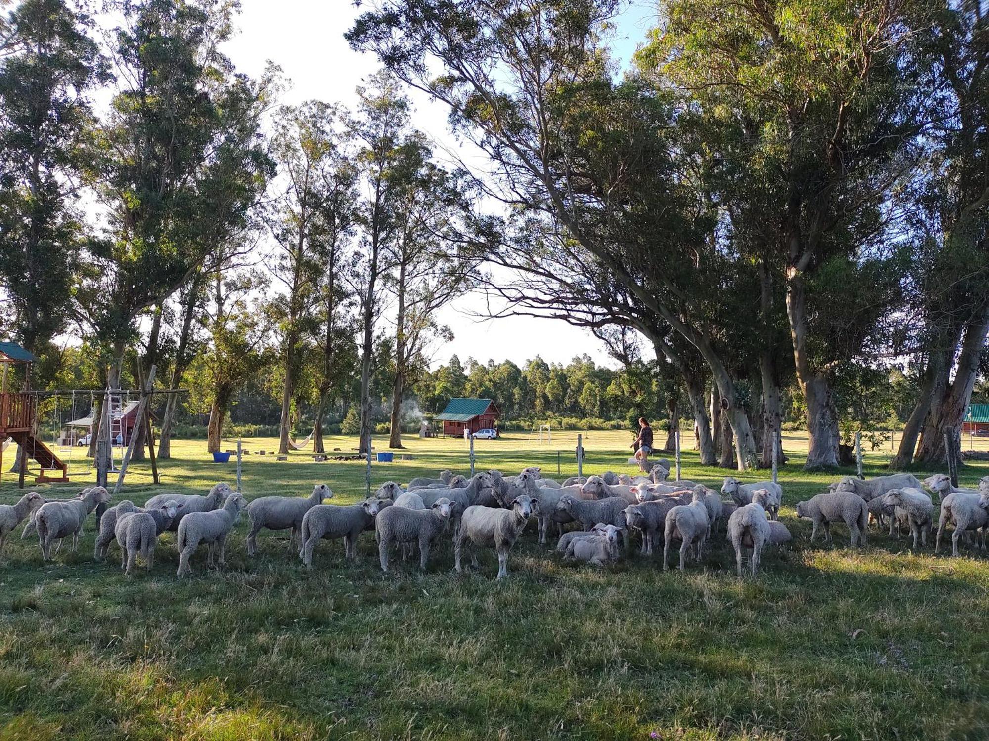 Centro Los Alamos مالدونادو المظهر الخارجي الصورة